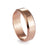 Bague simple en acier titane